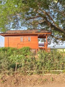 Forest Park Resort สังคม หนองคาย