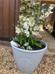 The Loft at Crown Cottage