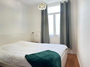 Dahlias- 6 pers Vrai tout à pied