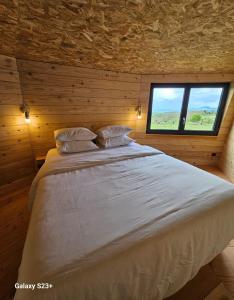 Maisons d'hotes LOGIS LAS CROZAS Le Mousseron orientable : photos des chambres