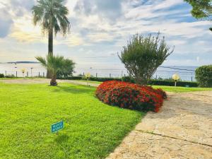 Charmant studio vue mer - Cannes