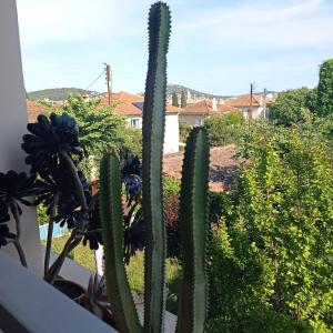 Appartements Appartement cosy Sanary centre-Climatise-Parking prive : photos des chambres