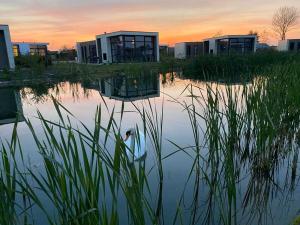 Marina Strandbad Chalet SunnyTides Haus Nr 36