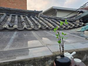 #Private Hanok #Korea University Station #3rooms #Barbecue #Rooftop Sunbed