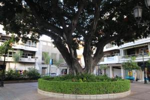 Centro y playa