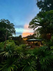 Beautiful garden 3 bedroom villa close to beach