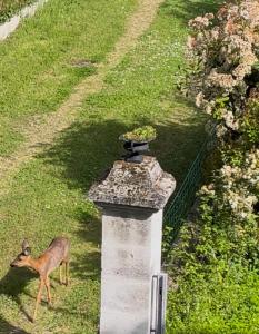 La Tanière, maison familiale avec piscine, 13 couchages