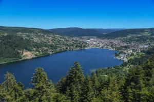 Villas Nature Cottage Vosges Spa Le Cerf : photos des chambres