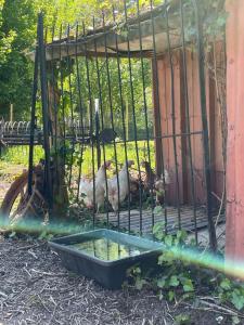 La maison du Manoir 1900