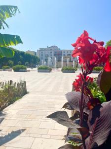 Appartements Le Voltaire, Joli Studio, proximite de la Gare et du Centre, Climatise : photos des chambres