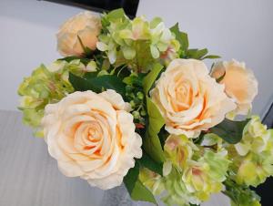 LAurora holiday home