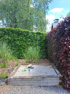 Vakantiewoning Petit Bonheur - 8 personen - Vresse-sur-Semois