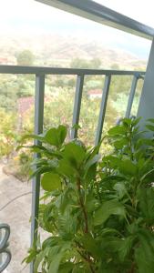 4 Seasons apartments