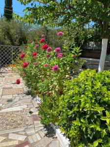 4 Seasons apartments