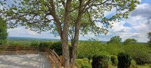 Chalets Cabane de vigneron : photos des chambres