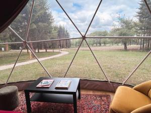 High Moor Glamping