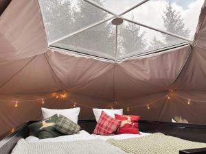 High Moor Glamping