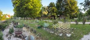 B&B / Chambres d'hotes Le Cedre Bleu - GITE : photos des chambres