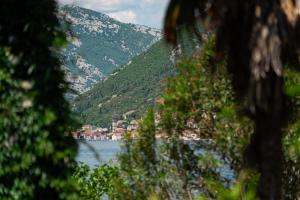 Salty Nest Residence