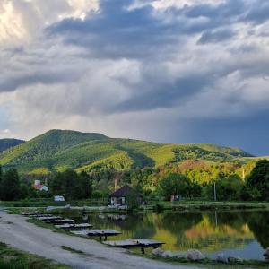 Fishing and Relax Camp