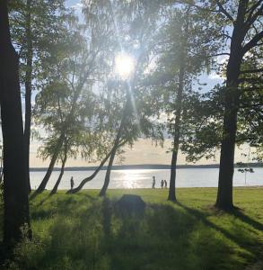 Żółty Domek