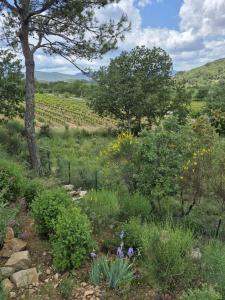 Mon petit coin de paradis