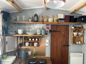 Mr Hares shepherd hut