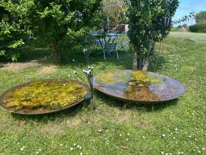 Mr Hares shepherd hut