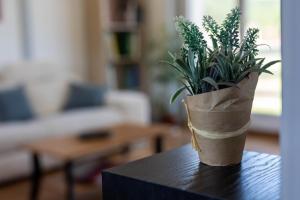 Gîte de la Grange 12km de Gérardmer