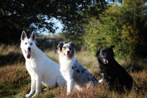 Ferienwohnung Ententeich