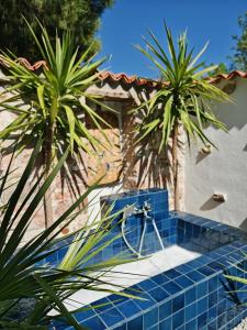 Meli Mila Spiti milozrooms Ayvalik