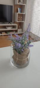 One Bedroom Beachfront Retreat! Comfortable Stay!