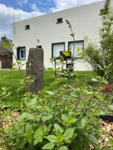 Maisons de vacances Gite Ecrin de Verdure Jacuzzi et piscine : photos des chambres