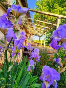 Domaine Langelet - Insolite 40"Toulouse