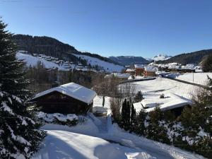 Appartements Spacieux 2 pieces au Chinaillon pour 5 personnes, balcons - FR-1-458-211 : photos des chambres