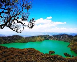 Village homestay&tours