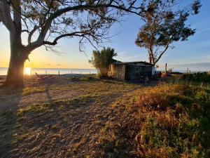 Caravane amy on the beach