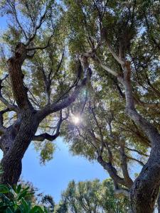 Bellavista Porto Rotondo