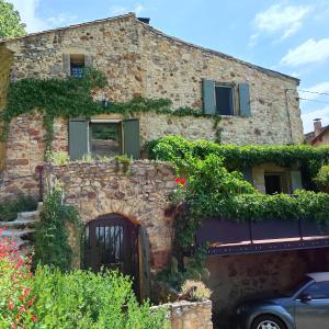 un pied dans la forêt