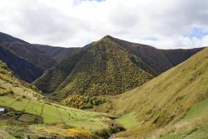 Tebulo Biodiv&Guest House