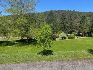 Hotels Le Moulin de Barette - Proche Le Puy-en-Velay : photos des chambres