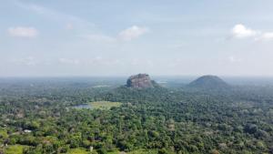 The rock & wild sigiriya