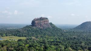 The rock & wild sigiriya