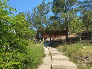 cedar villa with nature views
