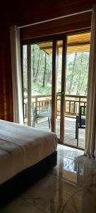 cedar villa with nature views