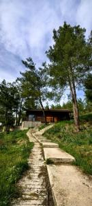 cedar villa with nature views
