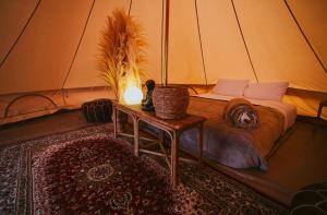 Duna Camp Huacachina