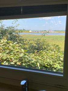 Campings Camping Le Bois D-Amour : photos des chambres