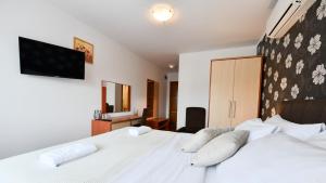 Double Room room in Pansion Villa Cancar