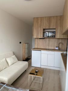 Sky apartment in the center Kosice